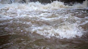 les ruisseaux et les ruisseaux coulent comme de petites cascades dans la forêt. video