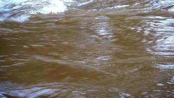 Streams and streams flow like small waterfalls in the forest. video