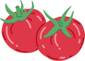 Doodle dibujo a mano alzada de vegetales de tomate. png