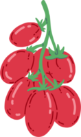 Gekritzel-Freihand-Skizze-Zeichnung von Tomatengemüse. png