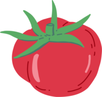doodle croquis à main levée dessin de légume tomate. png