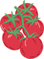 doodle croquis à main levée dessin de légume tomate. png
