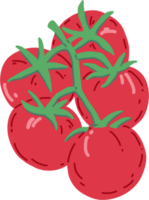 scarabocchiare a mano libera disegno di verdure di pomodoro. png