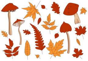 Hand drawn line vector set of various types of mushrooms and autumn leaves oak, maple, birch, foliage orange, yellow and red collection. Colored fall leaf illustration. Flat design. Stamp texture.