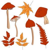 Hand drawn line vector set of various types of mushrooms and autumn leaves maple, foliage orange, yellow and red collection. Colored fall leaf illustration. Flat design. Stamp texture.