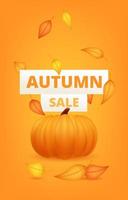 Autumn sale banner template with pumpkin and leaf. Poster, card, label, web banner. Vector illustration Happy Thanksgiving composition with pumpkins, autumnal leaves. Discount for shop graphic design.