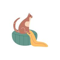 The cat sits on a pouffe and a blanket. vector