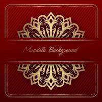 golden mandala ornament on red background vector