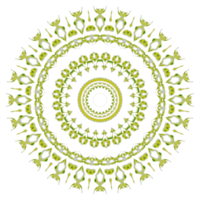 Mandala pattern ornament png