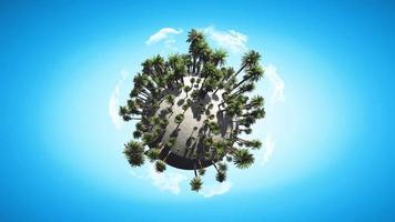 Video of rotating palm tree globe