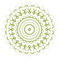 Mandala-Muster-Ornament png