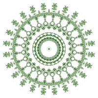 motif de mandala abstrait avec forme de cercle png