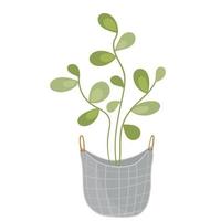 Vector illustration of home plant in scandinavian bag on white isolated background