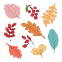 Vector illustration autumn set with leaves, viburnum, rose hip