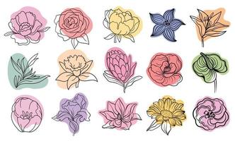 Vector line black illustration graphics flowers green anthurium, eustoma, dianthus, clematis, lily, magnolia, sunflower, poppy colors stains.