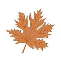 Vector illustration brown maple leaves on white isolated background.