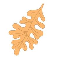 Vector illustration autumn brown oak leaf on white isolated background.