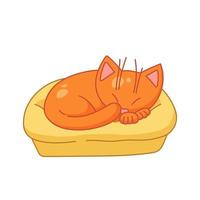 Red cat is sleeping. Pet lying on cat bed. Cute animal art. Cozy illustration in cartoon style. Vector art isolated on white background.