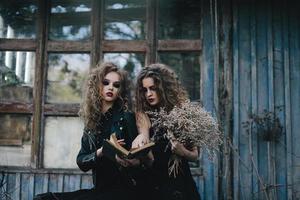 Two vintage witches gathered eve of Halloween photo