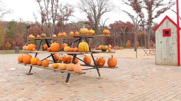 Cute display of pumpkins and gourds. Brick patio. Wooden building. Cloudy sky. Trees with a few leaves that haven't fallen.  Hills with forest in the background. video