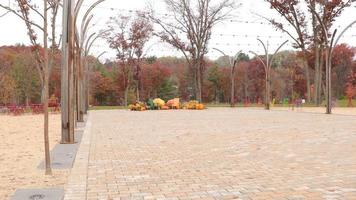 autunno paesaggio. terrazza di mattoni. multiplo imposta di metallo sedie e tavoli su il terrazza. spoglio alberi. leggero stringhe attraverso il terrazza. verde erba. zucche e zucche con adirondack sedie. nuvoloso video