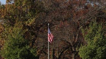 bandera americana en un día soleado con un fondo de otoño. quedan algunas hojas verdes en las ramas de los árboles. pinos a cada lado del asta de la bandera. un pequeño cielo azul asomando entre las ramas. video