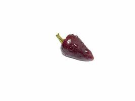 hot small red pepper on a white background. photo