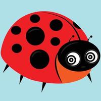 ladybug insect cute vector