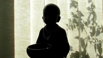 baby monk,  meditation, home, window video
