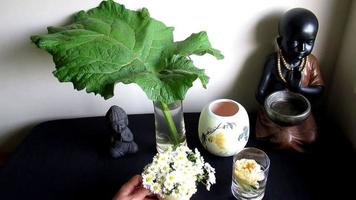 collocazione fiore vasi su tavolo, casa decorazione video