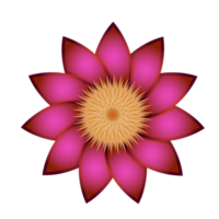 Colorful flower illustration png