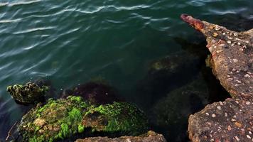 Water surface close-up. Natural background video