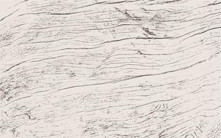 Wood Texture White and Black Wooden Planks Pattern Overlay Texture Grunge Sketch Effect Crack Motif for Design Wall Floor Rustic Old Rough Abstract Background Vector illustration
