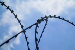 barbed wire and blue sky photo