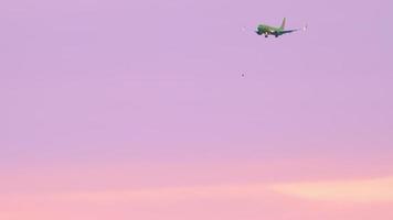 novosibirsk, federación rusa 17 de junio de 2020 - s7 airlines boeing 737 vp bng aterrizando en el aeropuerto de tolmachevo, novosibirsk en el fondo rosado del cielo de la mañana, alineado con un pájaro volador. video