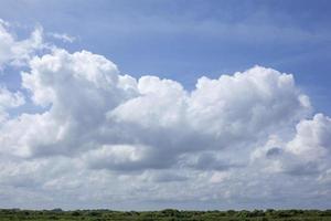 Huge clouds above a group of trees on a clear day. photo