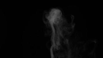 zeitlupe von weißem rauch, nebel, nebel, dampf auf schwarzem hintergrund. video