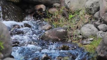 Stream of flowing water in Reunion Island, a French oversea territory in the Indian Ocean video