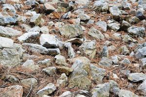 large uneven stones of different sizes in the forest photo