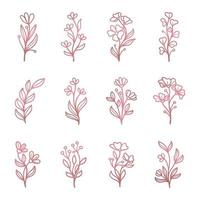 Feminine pink floral element ornament set template gold vector