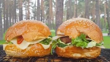 close-up de dois grandes hambúrgueres diy no parque em um churrasco, descansar e cozinhar em um piquenique no verão, comida deliciosa, cores vivas. conceito de alimentos pouco saudáveis. comida rápida. video