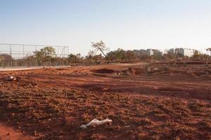 Brasilia, Brazil August 25, 2022 View of the Land, brush, trees and vegetation that was clear out in  in Burle Marx Park in the Northwest section of Brasilia, known as Noroeste photo