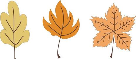 conjunto de hojas de otoño vector
