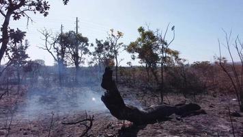 A brush fire near the Karriri-Xoco and Tuxa Indian Reservation in the Northwest section of Brasilia, Brazil video