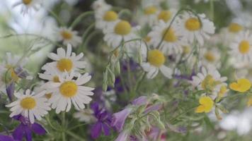 View of a mixed bouquet of wildflowers on a wooden table in the garden. Summer or spring day. Beautiful floral background. video