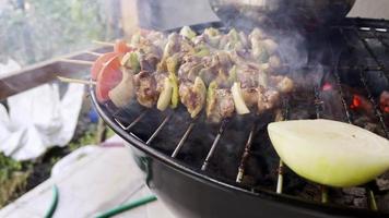 cucinando pollo carne su barbecue fuoco video