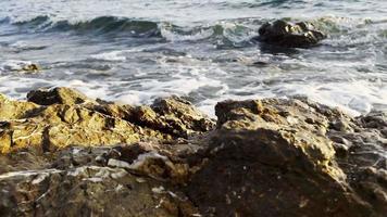 rocas y olas del mar video