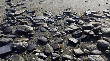 rocas y olas del mar video