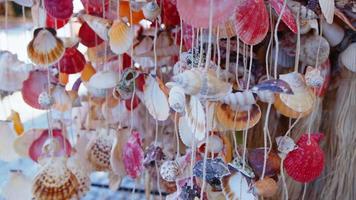 Colorful Sea Shells Ornaments in Wind video