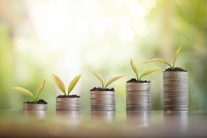 Plants growing up on stack of coins for business investment or saving concept photo